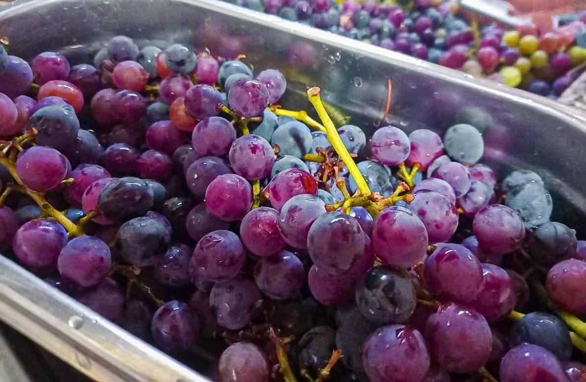 Vina Daire Villa Elisa  Dış mekan fotoğraf